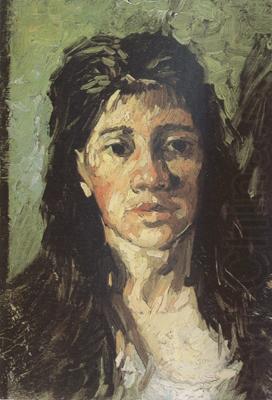 Head of a Woman with her Hair Loose (nn04), Vincent Van Gogh